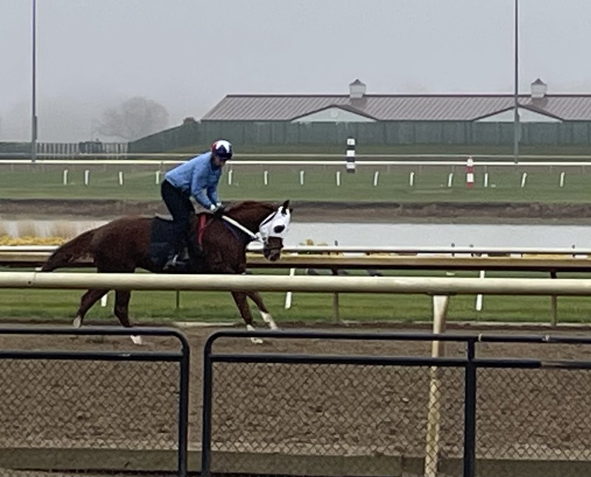 HSIndyTammy's tweet image. One week ago today was closing day.  Winter weather has set in, and winter training is in full swing @HSIndyRacing   #racelikeacaesar  @IndianaTOBA @IndianaHBPA @INThoroughbred @IndyTBAlliance