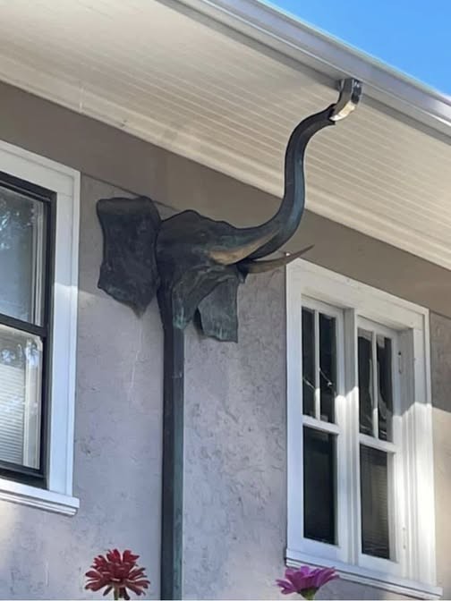 xmuse_'s tweet image. Love this decorative elephant gutter downspout extension.