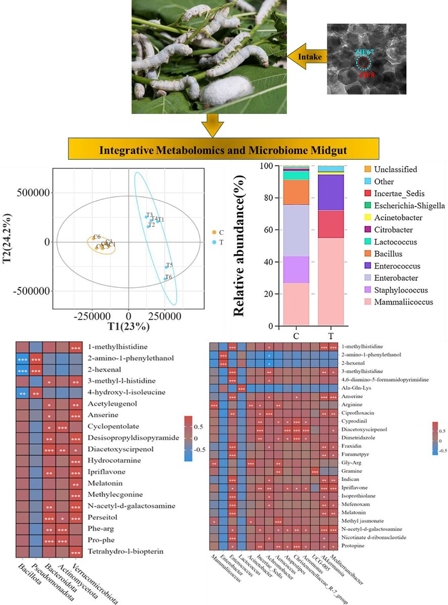 Insect Molecular Biology tweet media