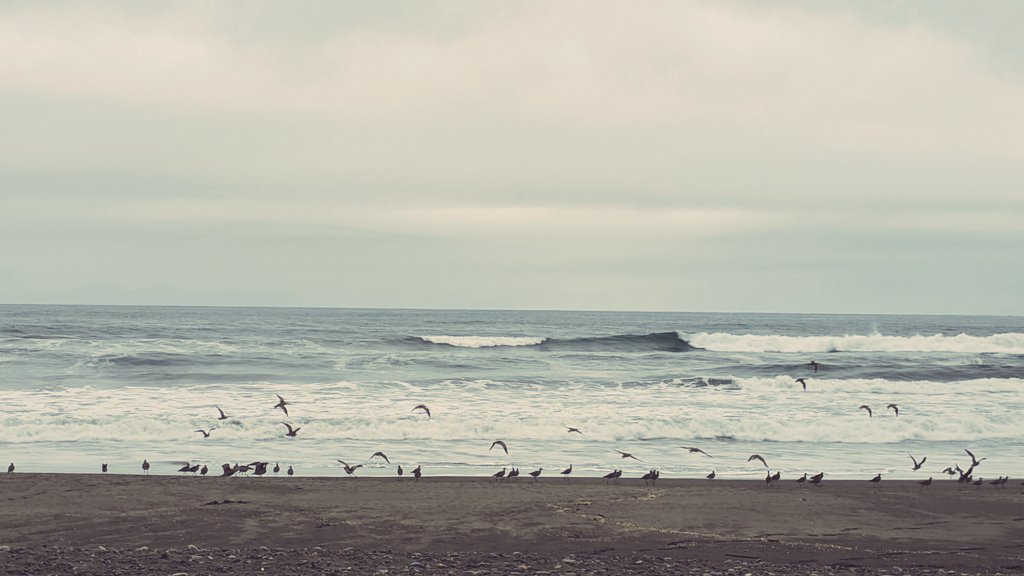 Sheeba_03's tweet image. &quot;Without love, it cannot be seen&quot;
#Umineko #うみねこ