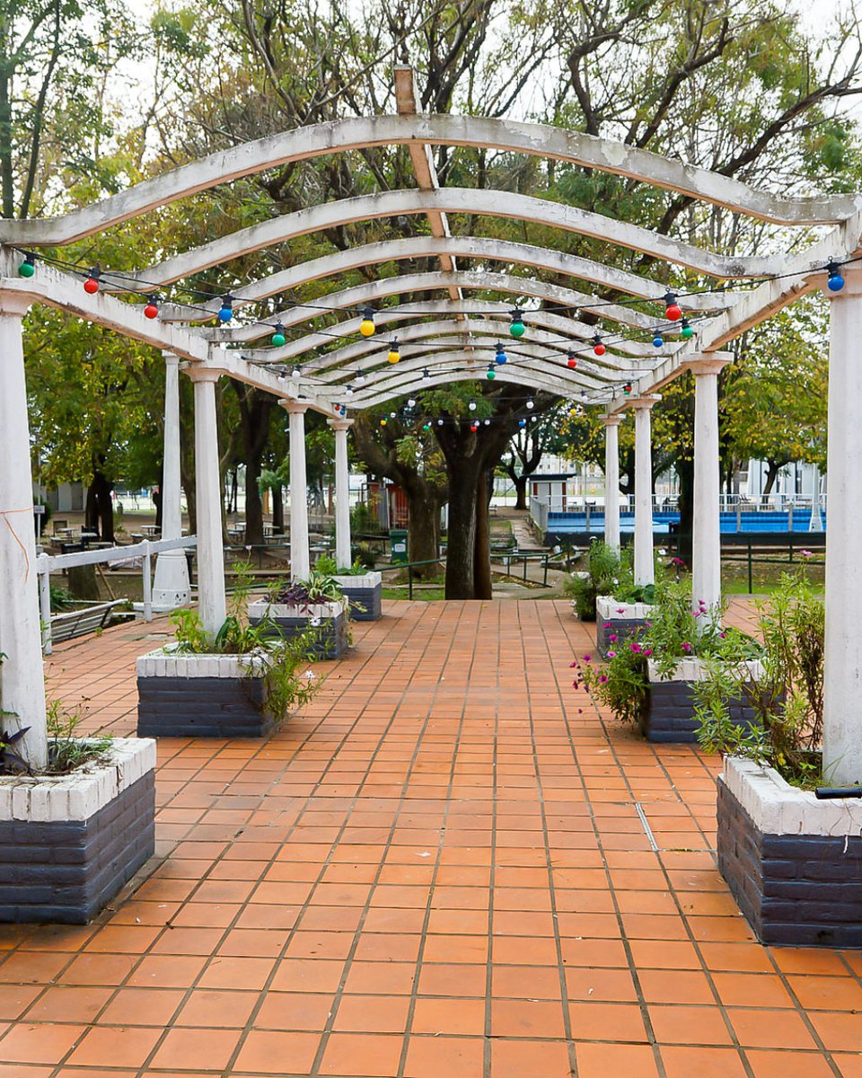 jjosemussi's tweet image. El Complejo Deportivo Municipal Ducilo es un lugar único: amplio, seguro, gratuito y pensado para que vengan a pasar la tarde con amigos o familia, y con el mate infaltable 🧉💚.

📍 Los y las invito a visitarlo en calle 5 y 151.

#Berazategui #BerazateguiCorazónDeZonaSur