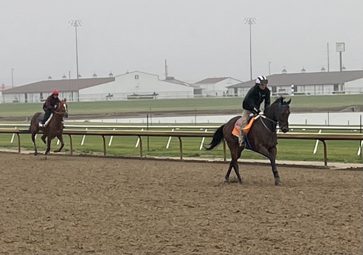 HSIndyTammy's tweet image. One week ago today was closing day.  Winter weather has set in, and winter training is in full swing @HSIndyRacing   #racelikeacaesar  @IndianaTOBA @IndianaHBPA @INThoroughbred @IndyTBAlliance
