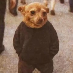 Today would have been my birthday if mum hadn't eaten dad's transport money