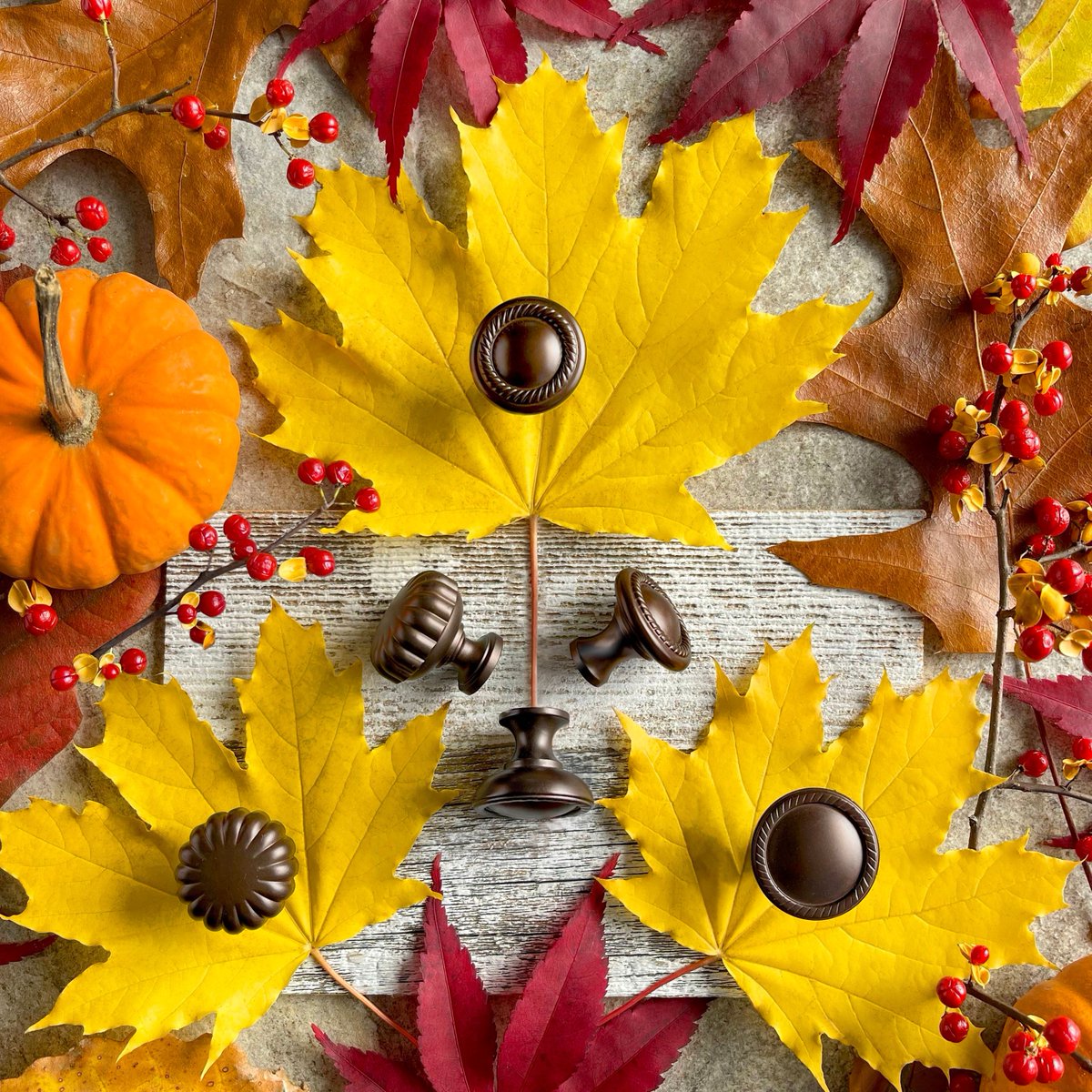 TopKnobs's tweet image. A warm alternative to traditional silver finishes, Top Knobs’ Oil Rubbed Bronze features a subtle, low-reflective sheen that adds a cozy touch to any space. Reminiscent of autumn’s warmth, this versatile tone complements a variety of color schemes and styles. 🍁