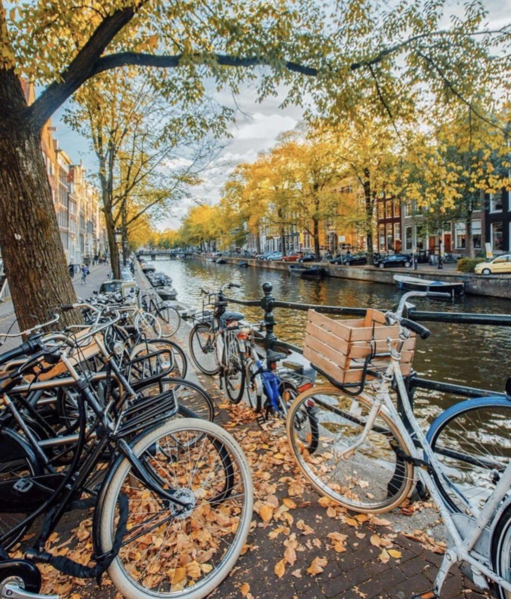 بعد مازرت 99% من قارة أوروبا 🧳✈️🌍

أحب أقولك :
 السفر في الخريف 🍂 والشتاء ❄️
لايقل عن الصيف ☀️ والربيع 🌷 بشي 
بالعكس الزحمة أخف والاسعار أقل ✅

أمستردام أغلى سعر فنادق في أوروبا 🏨🔥 
هولندا وقت الخريف روقان 🍂🇳🇱

باريس تزار لمرة وحدة للاكتشاف 🇫🇷 
فرنسا خل باريس ورح شاموني