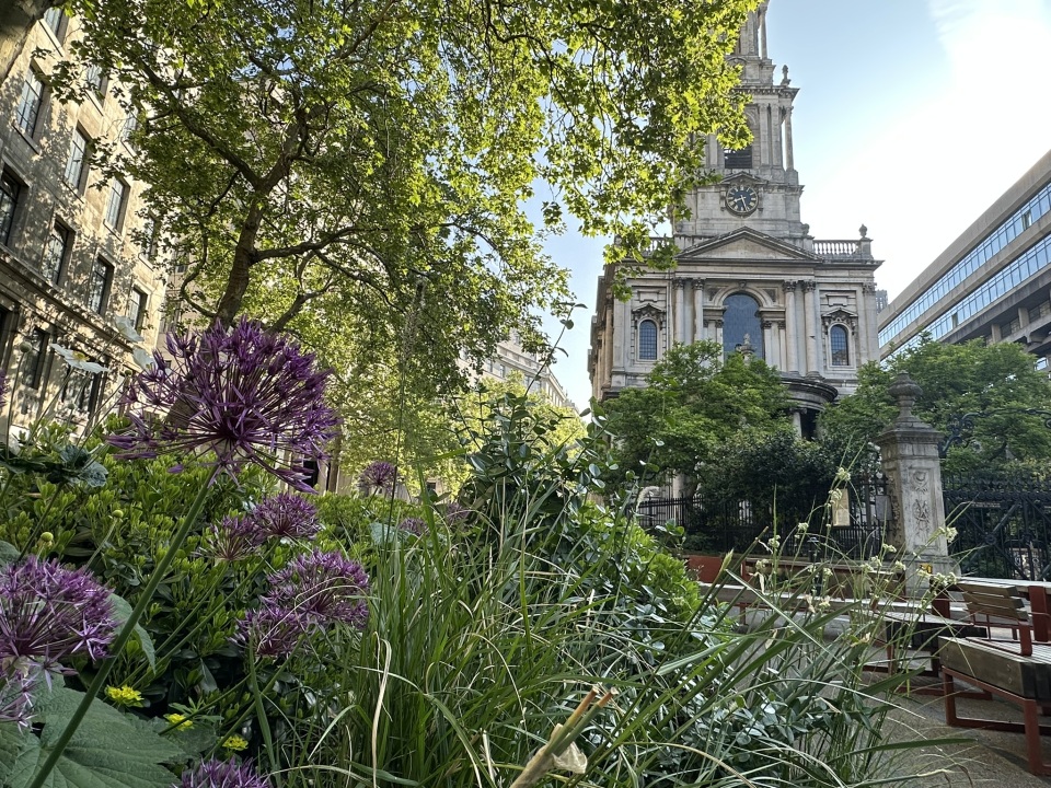 King’s has ranked 9th in Europe and 16th globally for social and environmental sustainability in the QS World University Sustainability Rankings 2026.

This achievement reaffirms King's as one of the world’s leading universities for environmental impact.

kcl.ac.uk/news/kings-ran…