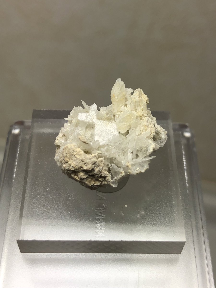 持ち込み標本その他諸々。
綺麗な標本色々持っていきます。

満ばん柘榴石
紫水晶
オイル入り水晶
日本式双晶

その他珍しい鉱物も紛れ込ませているので是非見にいらしてください！
11/22（土）のみですが、よろしくお願いします。

#浜松町石フリマ
#石フリマ
#国産鉱物