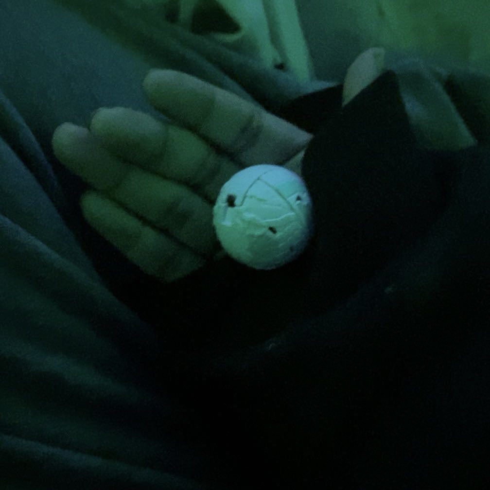 stupid mf ! tweet media