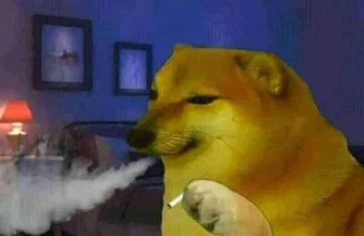 itzmeCitrus's tweet image. இருந்தா.. பேச ஆள் இல்ல..
போனா.. தேட ஆள் இல்ல..

என்னைய மாதிரி ட்விட்டர் அனாதை யாராவது இருக்கீங்கன்னா சொல்லுங்க நாம friends ஆகிடுவோம்..