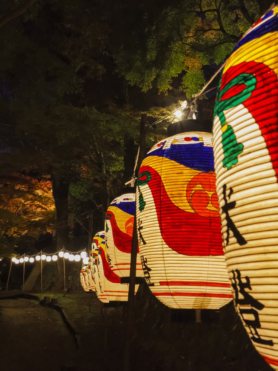 nunookui's tweet photo. 【2025.11】
ライトアップされて談山神社を訪問
関西の紅葉もいよいよ本格的になってきました。

camera:OM-1
Lens:ZUIKO12-40f2.8proⅡ

#談山神社
#奈良
#nara
#わたしは奈良派
#いざいざ奈良
#奈良の紅葉
#写真好きな人と繋がりたい
#OM写真投稿
#tokyocameraclub
#photo_shorttrip
#total_japan https://t.co/NaQcx8ey3M