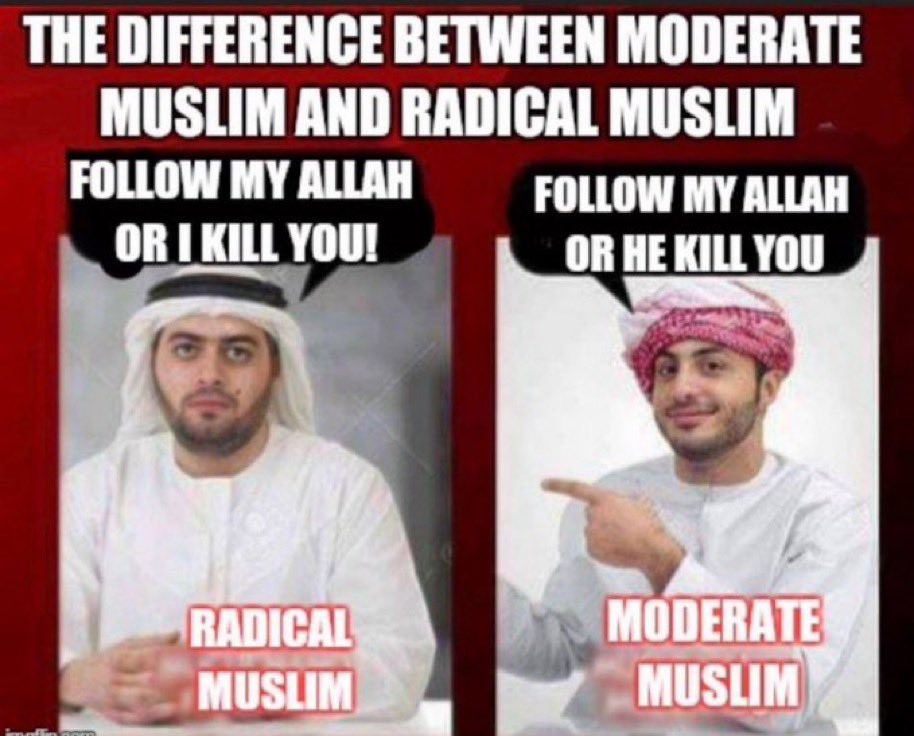 <a href="/WallStreetApes/">Wall Street Apes</a> They have plans for us …..