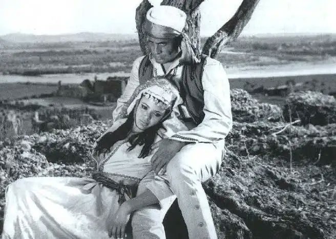 Milli Şef (@raskolpasa) on Twitter photo 