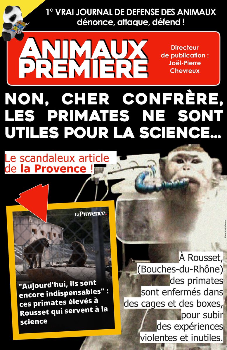 Animaux1ere's tweet photo. 📣 Non, cher confrère, les primates ne servent pas la science !
🚨 Retrouvez l’article de @jpchevreux et de @patricedaude ⬇️
https://t.co/cTCnodXvz4

#AnimauxPremière #Animaux #SouffranceAnimale #ProtectionAnimale #Vivisection #Primates #Singes #France #Science @laprovence https://t.co/9sqoL20Yee