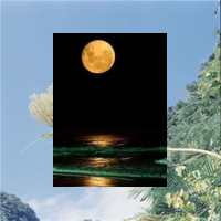 竹海深深，風吹過，竹葉沙沙作響，像在訴說古老的故事。🥯Run to explore, train to excel 🌍