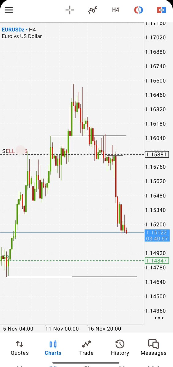 yusufthorr's tweet image. slow and steady like a turtle.