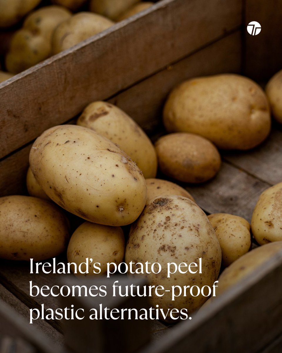 TechTeysha's tweet image. Our biopolymers begin with potato peel sourced from Ireland&apos;s food industry. By repurposing this starch-rich waste stream, we transform what would otherwise be discarded into sustainable, high-performance materials.

#PlasticFree