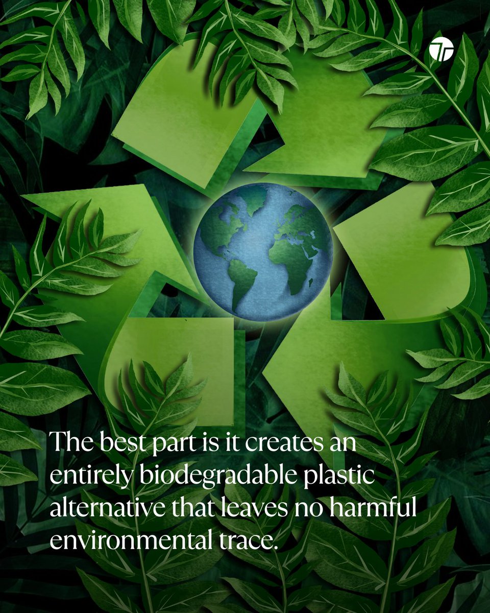 TechTeysha's tweet image. Our biopolymers begin with potato peel sourced from Ireland&apos;s food industry. By repurposing this starch-rich waste stream, we transform what would otherwise be discarded into sustainable, high-performance materials.

#PlasticFree