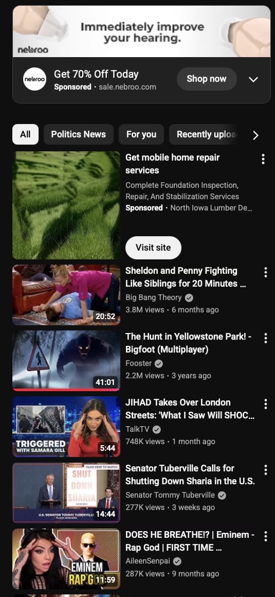 stefanlear's tweet image. Do you see something wrong with this ⁦@YouTube⁩ ad?