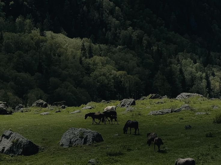 elemmiressoul's tweet image. green world.🖤