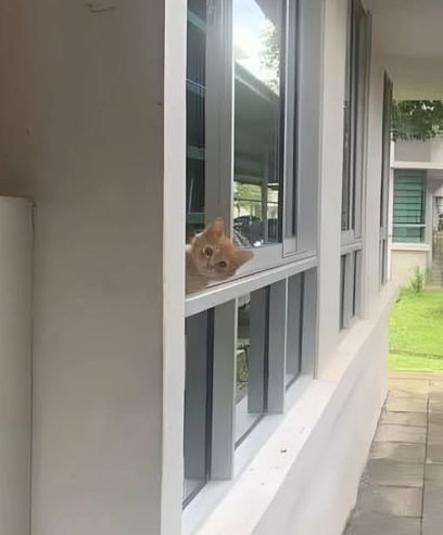 SavageKairn's tweet image. #WritingCommunity 

Caption this.

#FunandGames