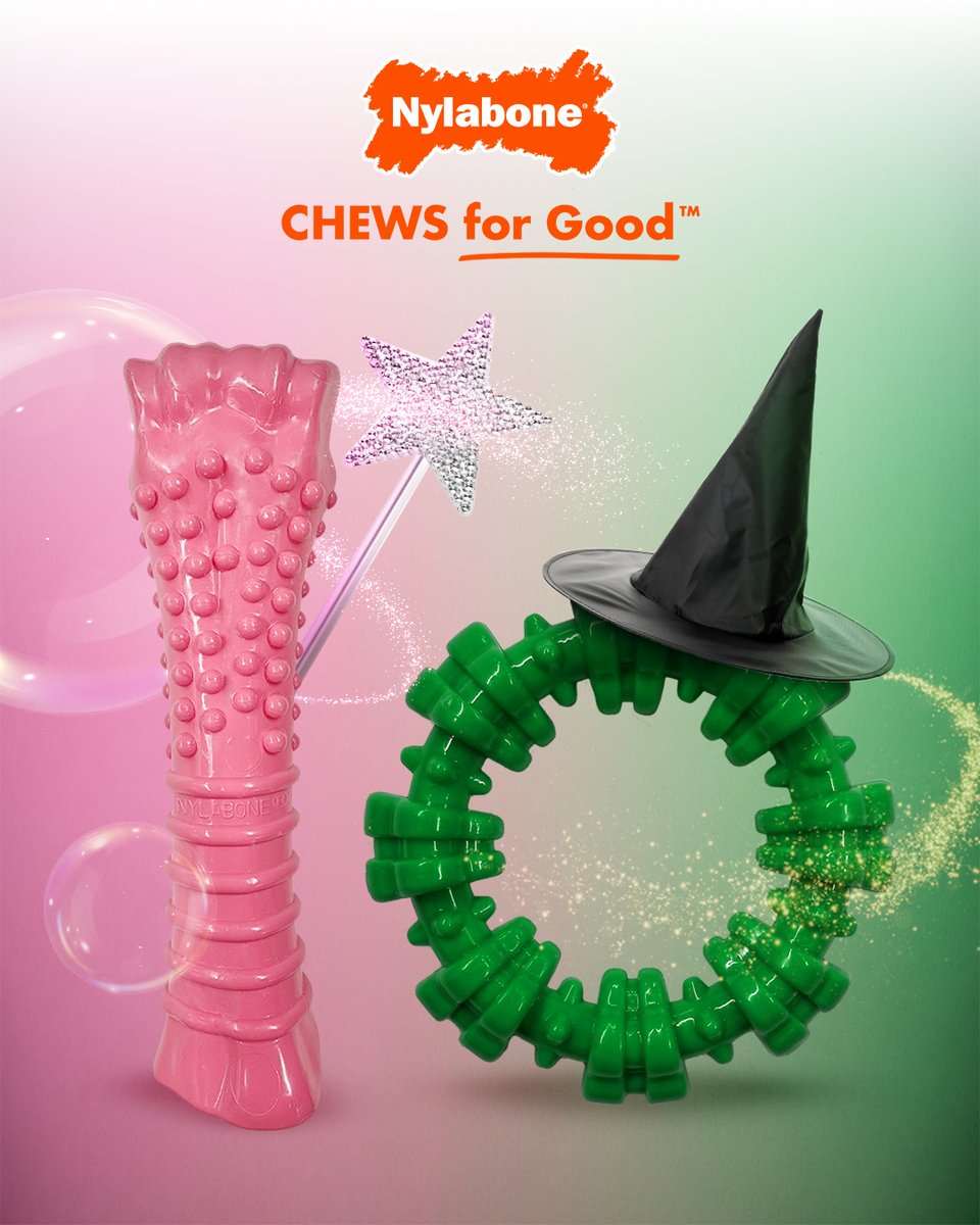 nylabone's tweet image. For some pups, our chew toys are ✨magical.✨ Especially when they help a shelter dog in need! You can change a shelter dog&apos;s life for good by participating in Nylabone&apos;s CHEWS for Good campaign. Visit NylaboneCares.com to learn more!

#Nylabone #ChewsForGood #dogchewtoys