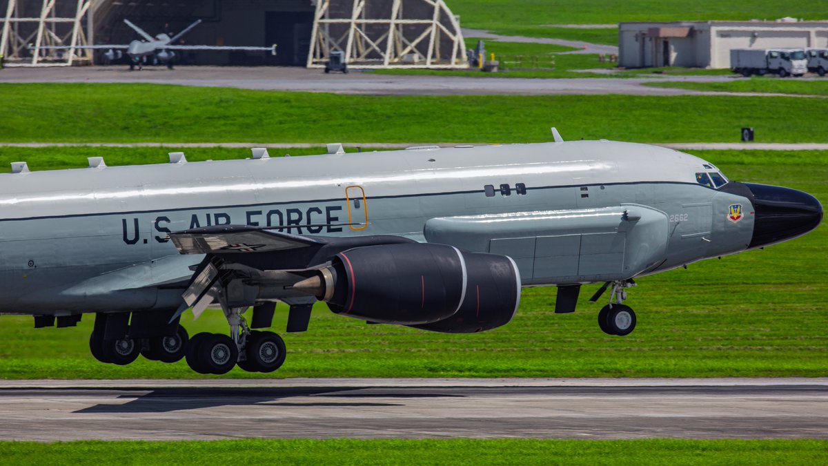 bee_beesupercub's tweet image. 