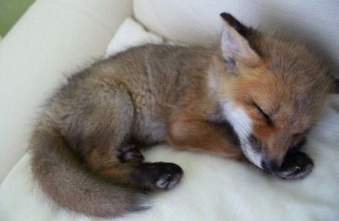 34rths's tweet image. Dear diary  I found myself romanticizing Life once again...... Please let me get what I want this time