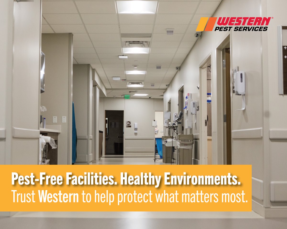 WesternPestSrvc's tweet image. From bed bugs in waiting rooms to flies in cafeterias and rodents at loading docks, healthcare facilities face unique pest pressures in every corner. Learn how to keep your patients, staff, and reputation protected: bit.ly/4bkMgHJ