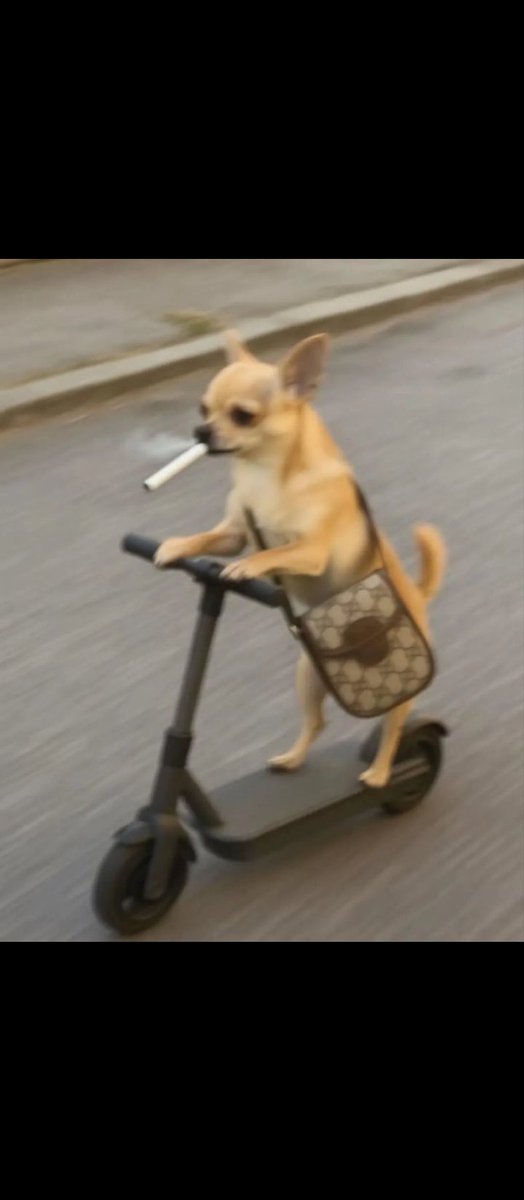 Ubangi146704's tweet image. Want a shot at facing me on the pitch? 👀
@SIXR_cricket is bringing fan battles to life, and you might be going head-to-head with me sooner than you think.
Hop on the waitlist and get ready. $SIXC