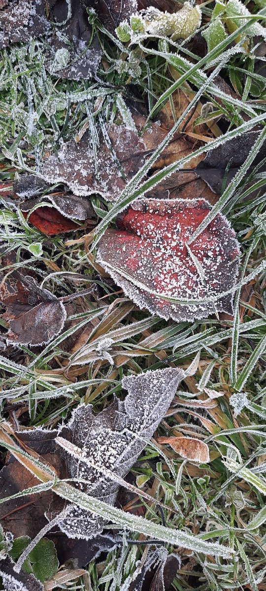 Серебро и жемчуг ноября.