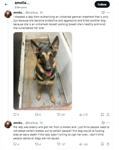 Kcalbug Abuses Animals tweet media
