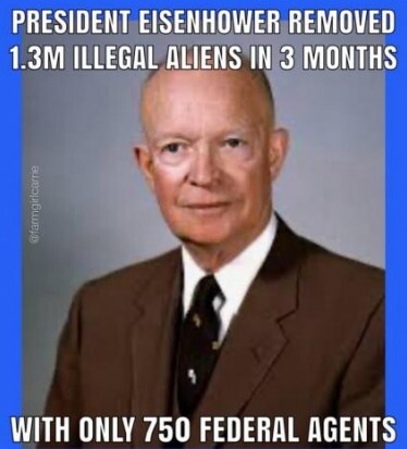 ILA_NewsX's tweet image. Deport all illegals.