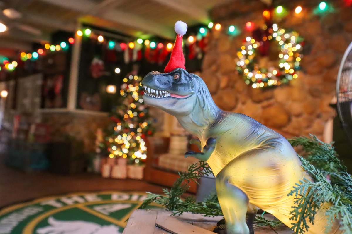 🎅✨ One of the most magical holiday traditions at Walt Disney World? Meeting SANTA CLAUS! 
Whether you're heading to EPCOT, Magic Kingdom, or Disney Springs, we’ve got the full list of where you can find the big man in red this season — including our personal favorite from last