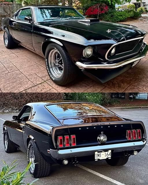 1969 Mustang Mach 1 🖤🐎

Are there very few people who like her now?