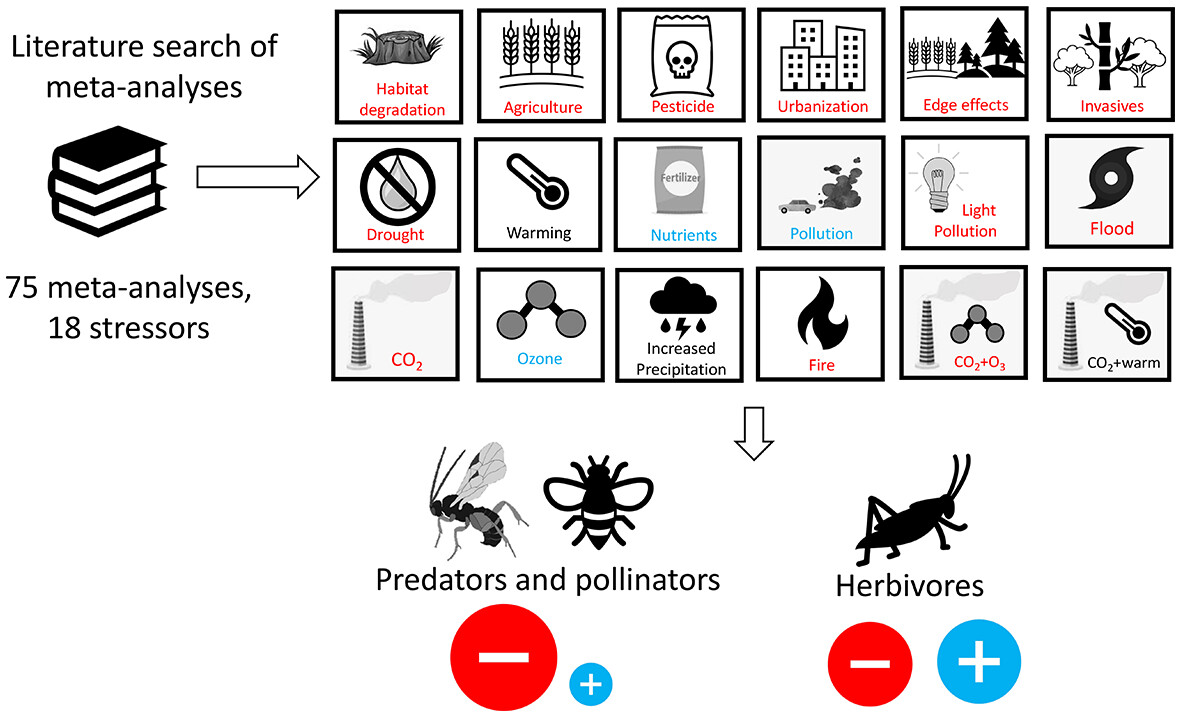 Insect Conservation and Diversity tweet media