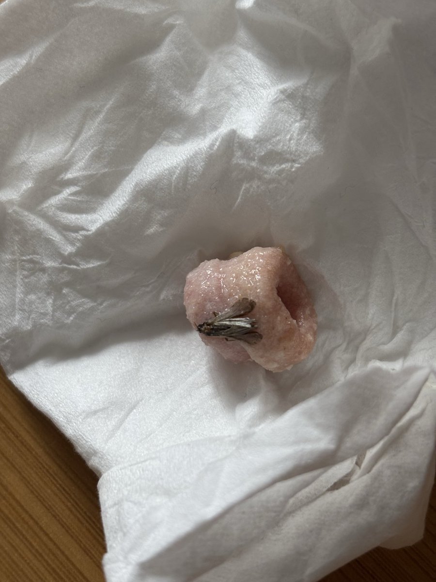 GurPreet SaiNi tweet media