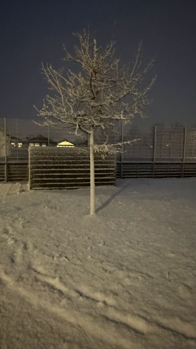 HashanNazmul's tweet photo. Winter has arrived!✨❄️🤟 #LensX  #dkfotografi https://t.co/KL1y7WxRsa
