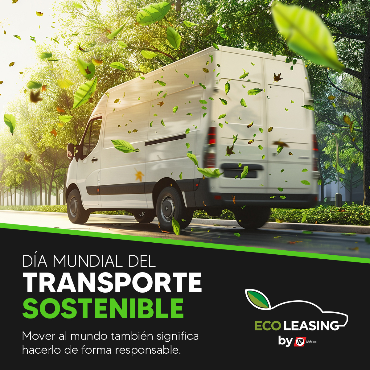 TIP México tweet media