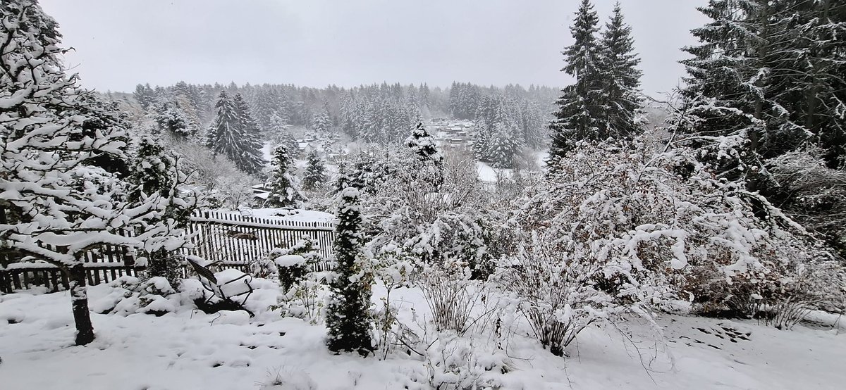 First snow of the season in my hometown Suhl 🇩🇪❄️