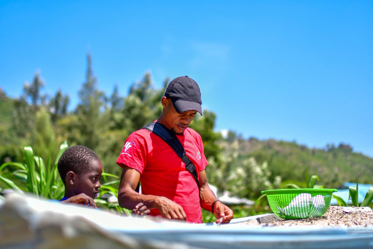 jijengeyouthorg's tweet image. Jijenge Centre for Social Development, in partnership with Sapphire Community Group Kenya, continues to support sustainable livelihoods and growth at the household level. #Empoweringcommunitiestogether