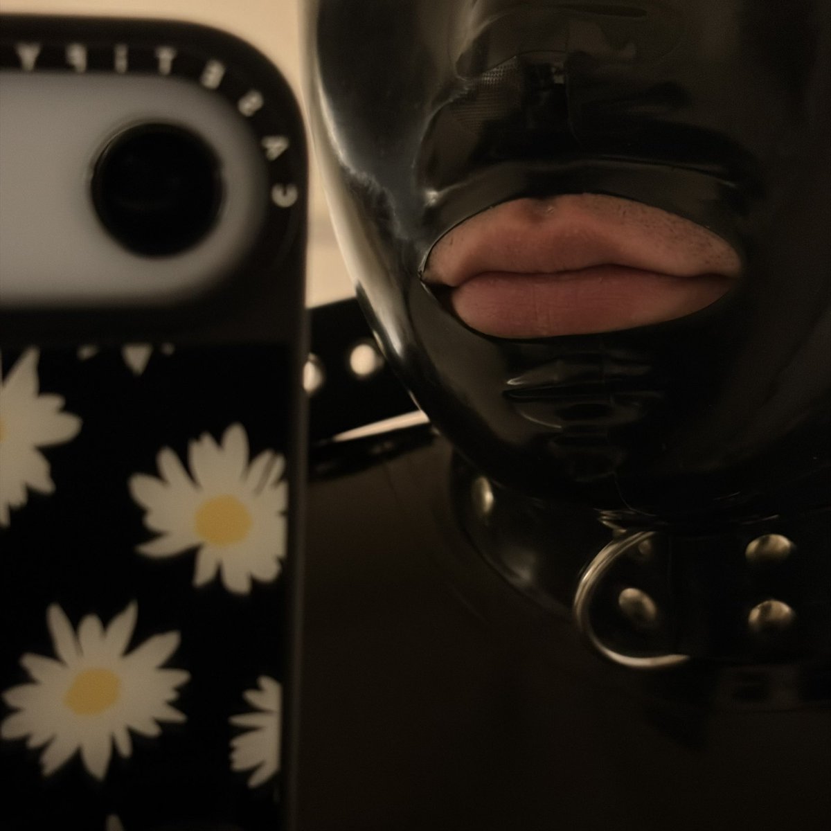 Garyrubberrr tweet media