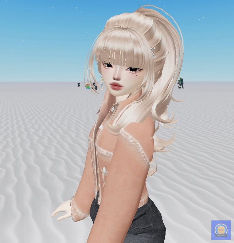 Roblox Fess tweet media
