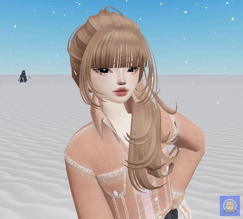 Roblox Fess tweet media