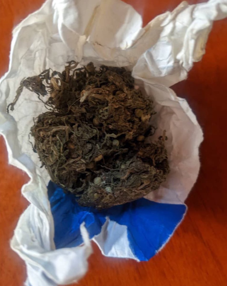 ZIMWE MU MPAMVU Z’IBIYOBYABWENGE IWACU MU MIRYANGO, MU RUBYIRUKO UBU NO MU MURYANGO MUGARI W’ABANYARWANDA

Igitekerezo bwite: numva biterwa ujanishije mu bantu mu gihugu”kugira umuryango mugari (Abanyarwanda n’igihugu muri rusange) batumva urubyiruko, kutagira uburyo bukurikirana