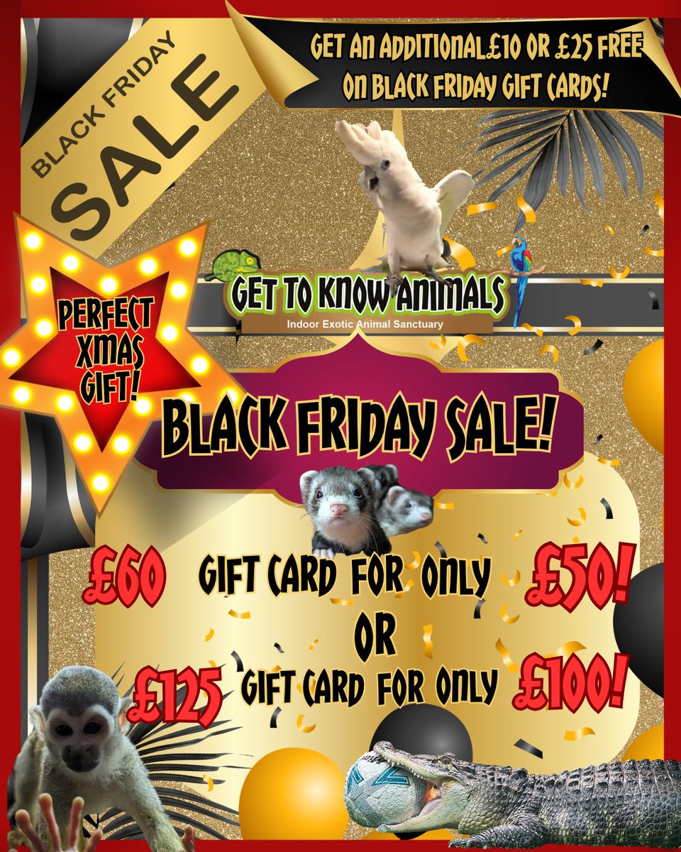 🖤🎁 BLACK FRIDAY GIFT CARDS – FINAL DAYS! OFFER ENDS 1ST DEC 🎁🖤 

Stuck for what to buy the animal lover in your life? 
Forget socks. Forget smellies. 
Give them the EXPERIENCE OF A LIFETIME at the UK’s ONLY fully indoor exotic rescue sanctuary based in Epping, Essex! 🐒🦎🦜