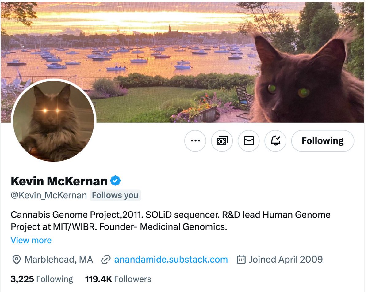 Janiesaysyay tweet media