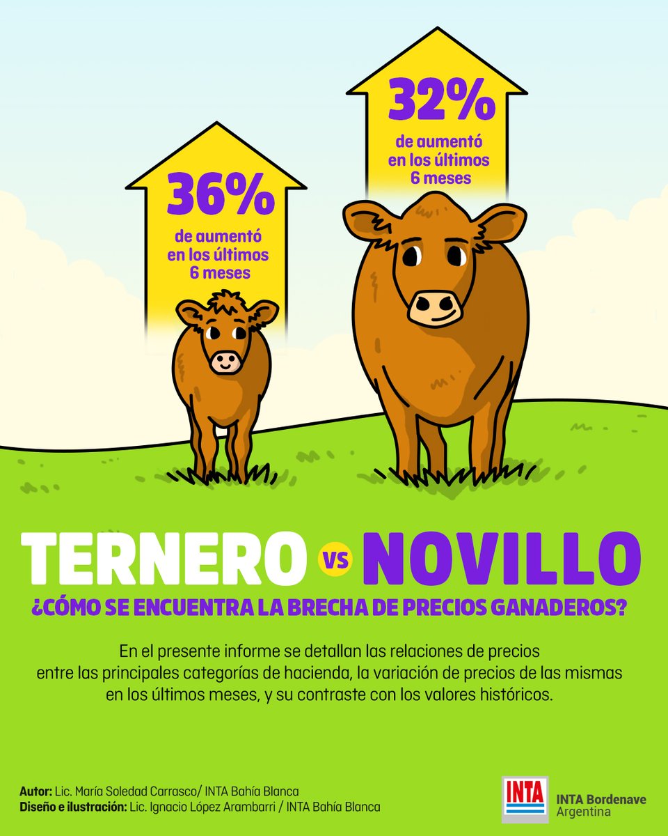 INTABordenave's tweet image. 💻 #Informe 👉  #PreciosGanaderos: ¿Cómo se encuentra hoy la brecha entre el #ternero y el #novillo? 🐂🐂 Noviembre 2025.
⚠️➕ info 👉🏼 Lic. María Soledad Carrasco 📲 carrasco.maria@inta.gob.ar
👉🏽 Agencia de Extensión Rural Bahía Blanca  🏨 INTA Bordenave
