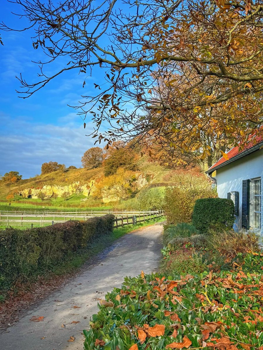 magnifiekZL's tweet image. Bemelerberg #MagnifiekZL
📸: Annelies Kamphuis - Instagram