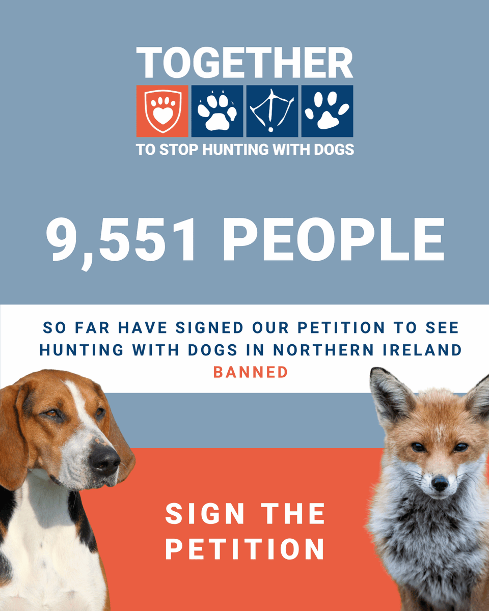 LeagueACS's tweet image. 9,551 of you have already added your names to call for an end to hunting with dogs in Northern Ireland.  💪    

Northern Ireland remains the only part of the UK where foxes, hares and stags can still be chased and killed by dogs. It’s #TimeForChangeNI. @USPCA_Official