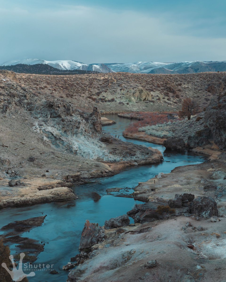 PoisonedShutter's tweet image. They call it the Blue Hour for a reason